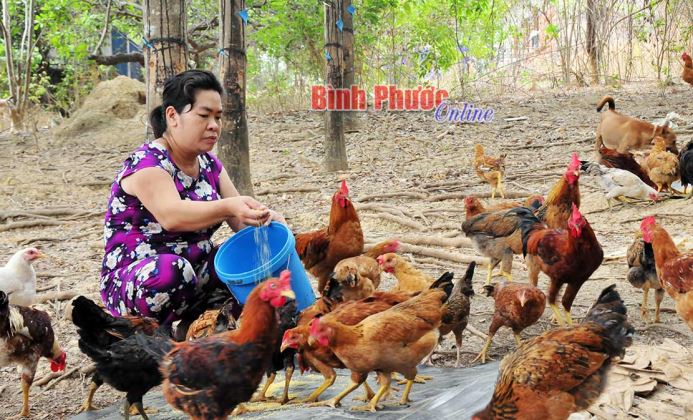 Phát huy nguồn vốn hỗ trợ phụ nữ khởi nghiệp