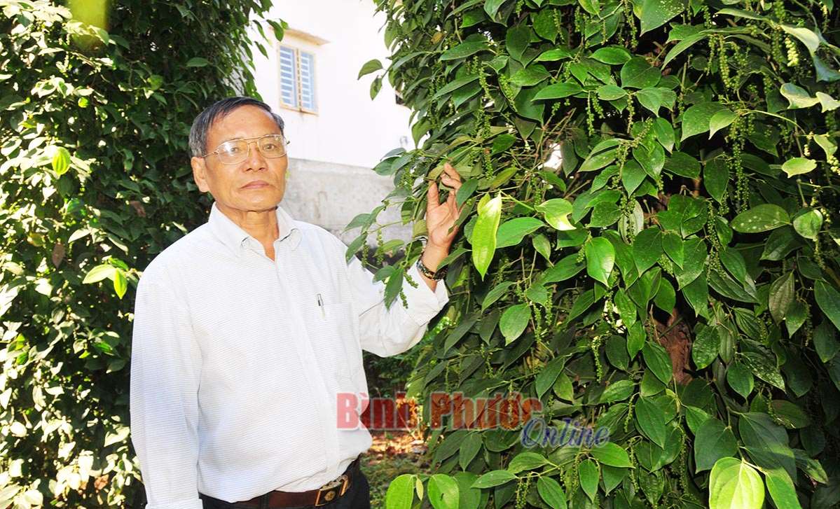 Liên kết hợp tác trong chăn nuôi, trồng trọt Liên kết hợp tác trong chăn nuôi, trồng trọt