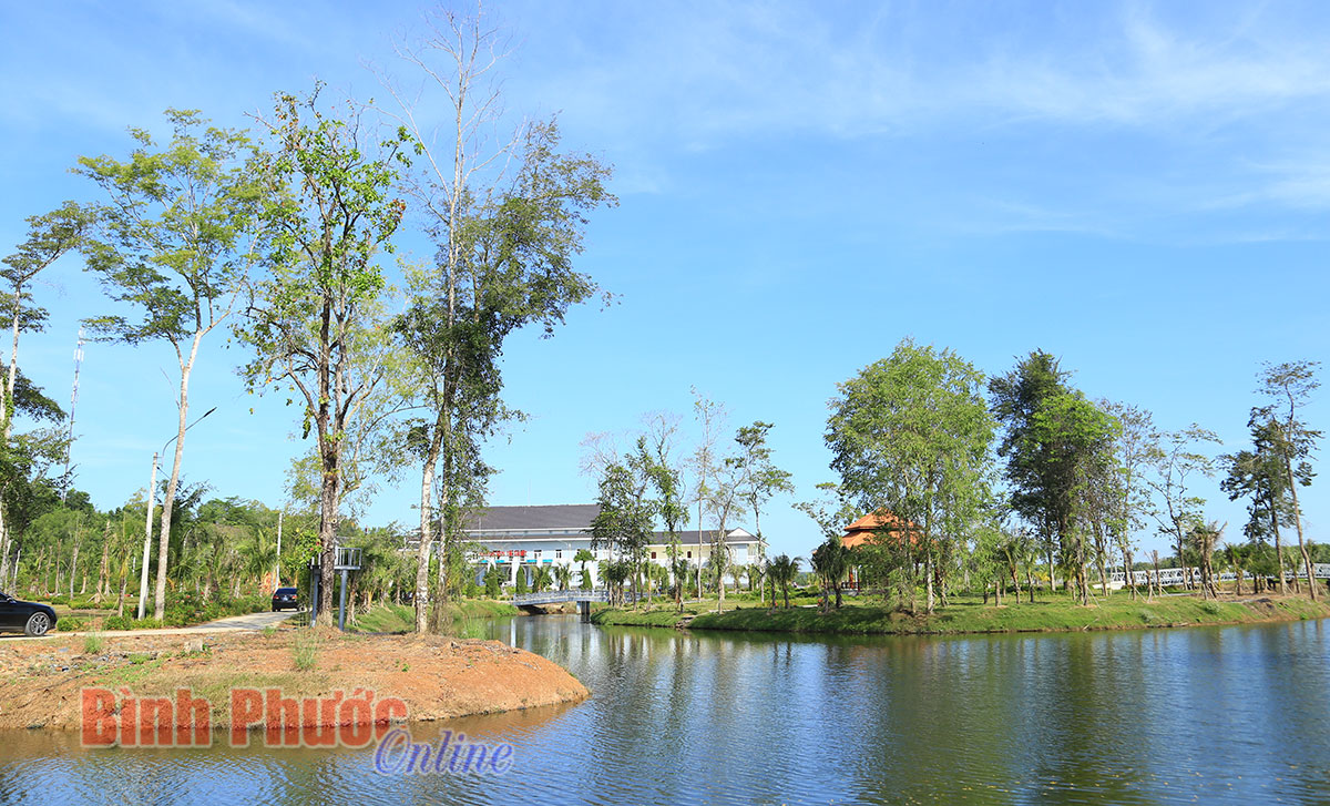 anh-423112019021443.jpg