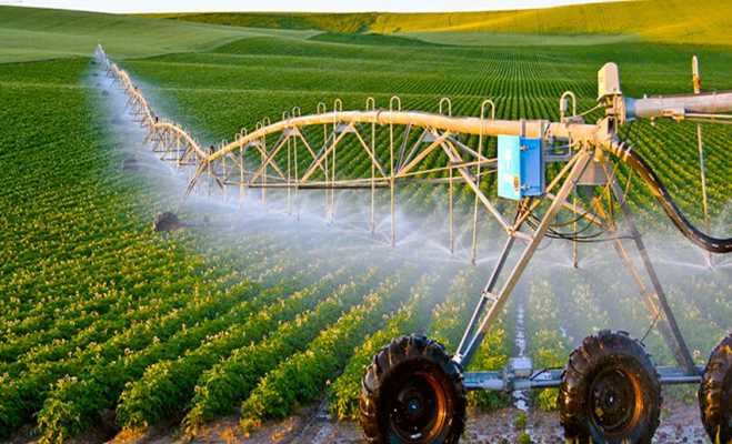 Các loại hình bảo hiểm nông nghiệp thực hiện từ 5-6 Các loại hình bảo hiểm nông nghiệp thực hiện từ 5-6