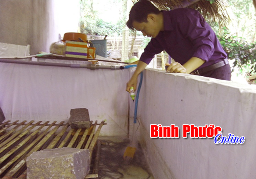 Làm giàu từ nuôi lươn trong chum