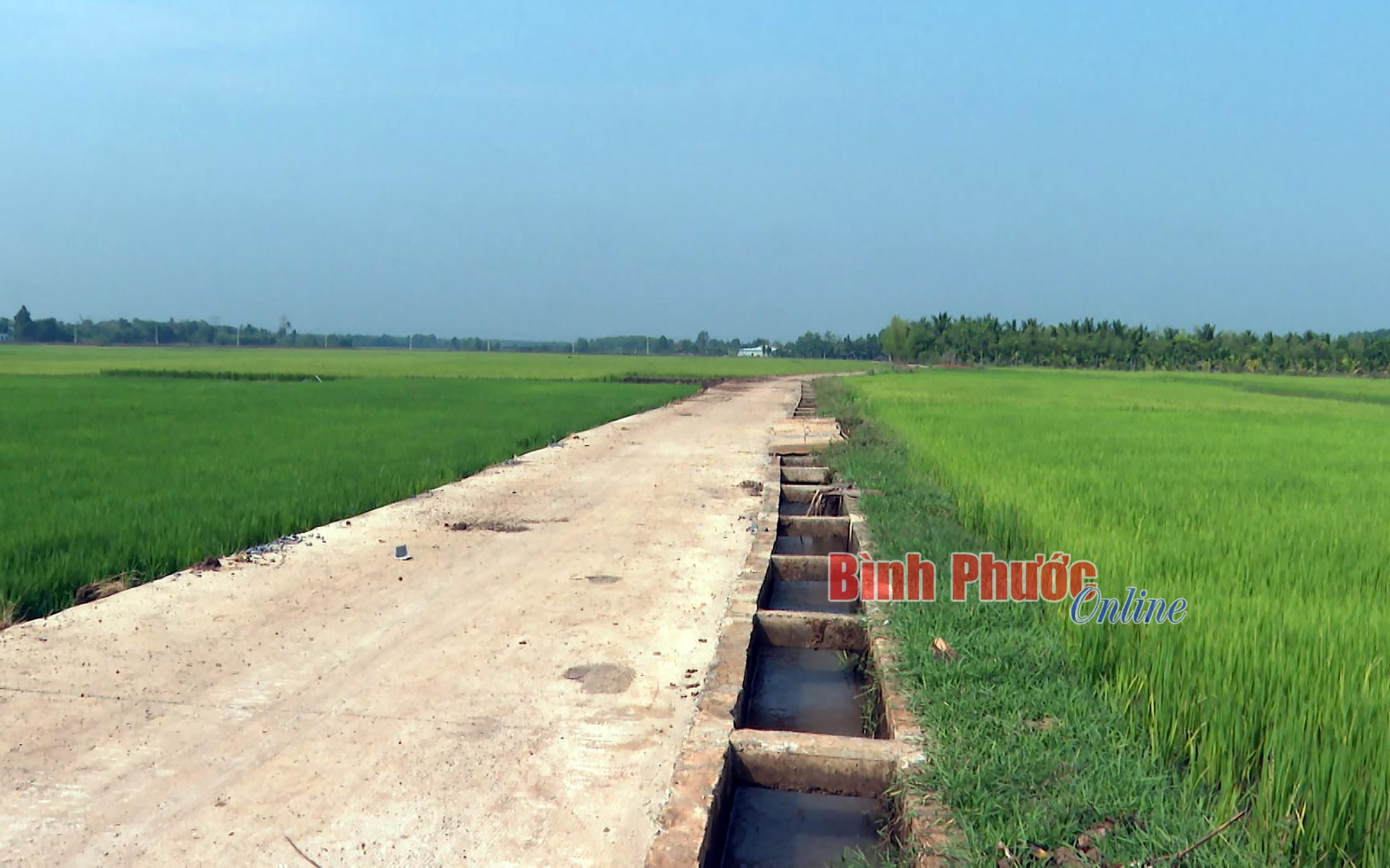 anh_09223527042023.jpg