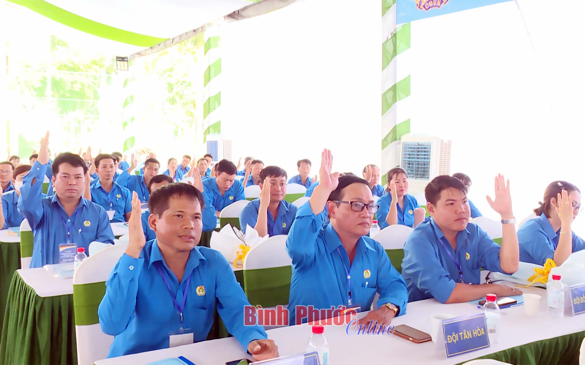 anh_10_18424526042023.jpg
