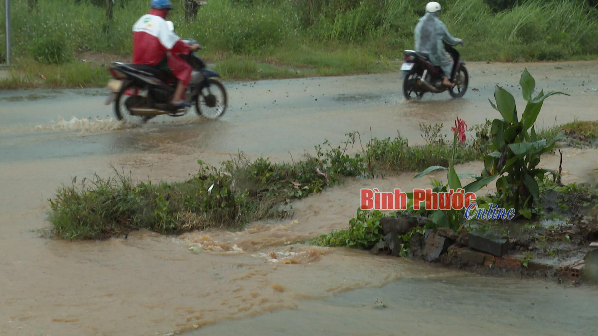 anh_1_11453325102023.jpg