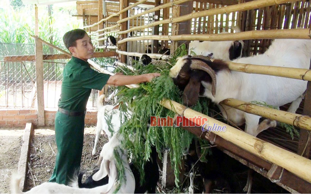 anh_1_16213918012021.jpg