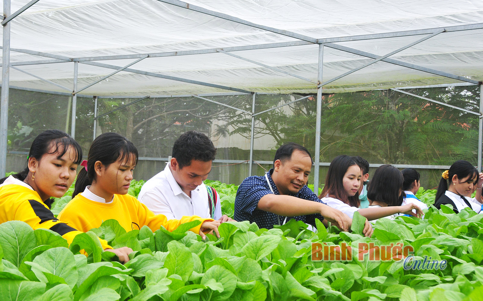 anh_22010020112020.jpg