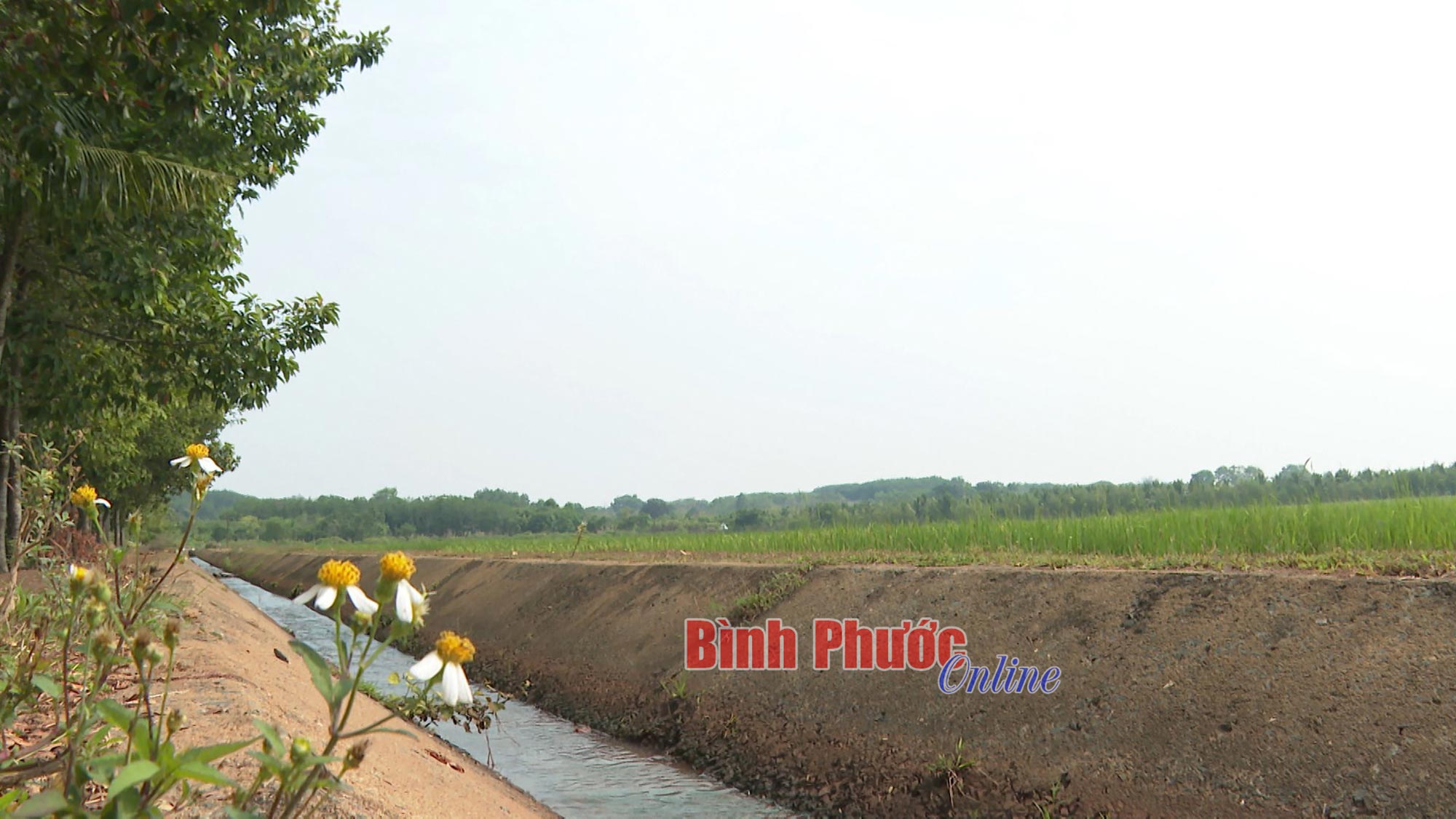 anh_2_09224027042023.jpg