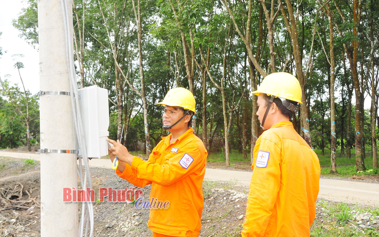 anh_2_11333030102020.jpg