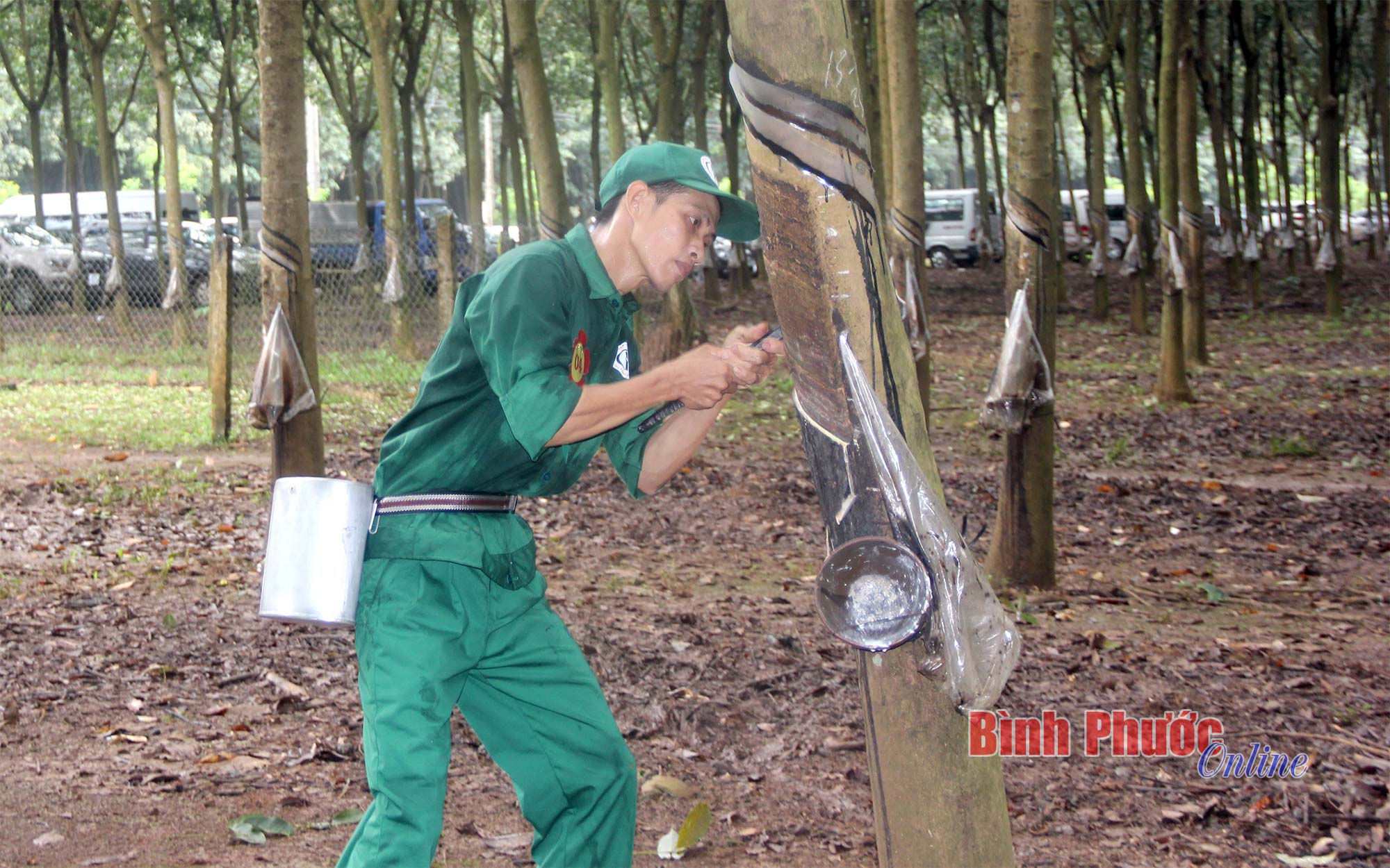 anh_2_15092523092022.jpg