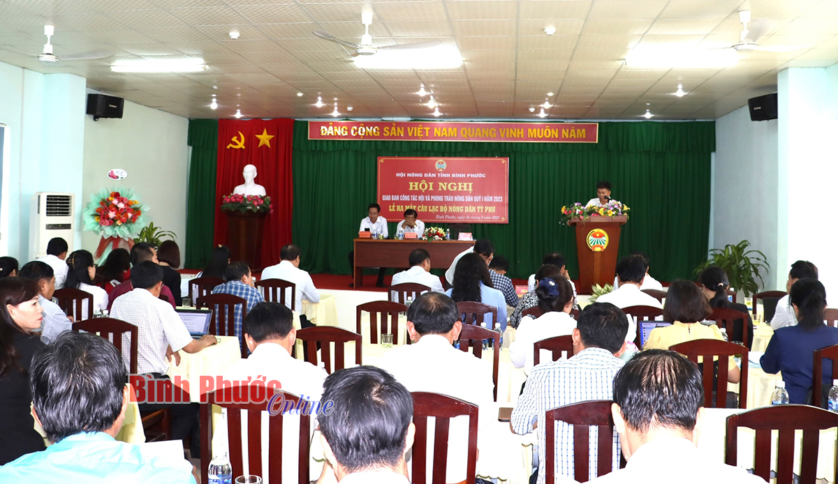anh_2_15323631032023.jpg