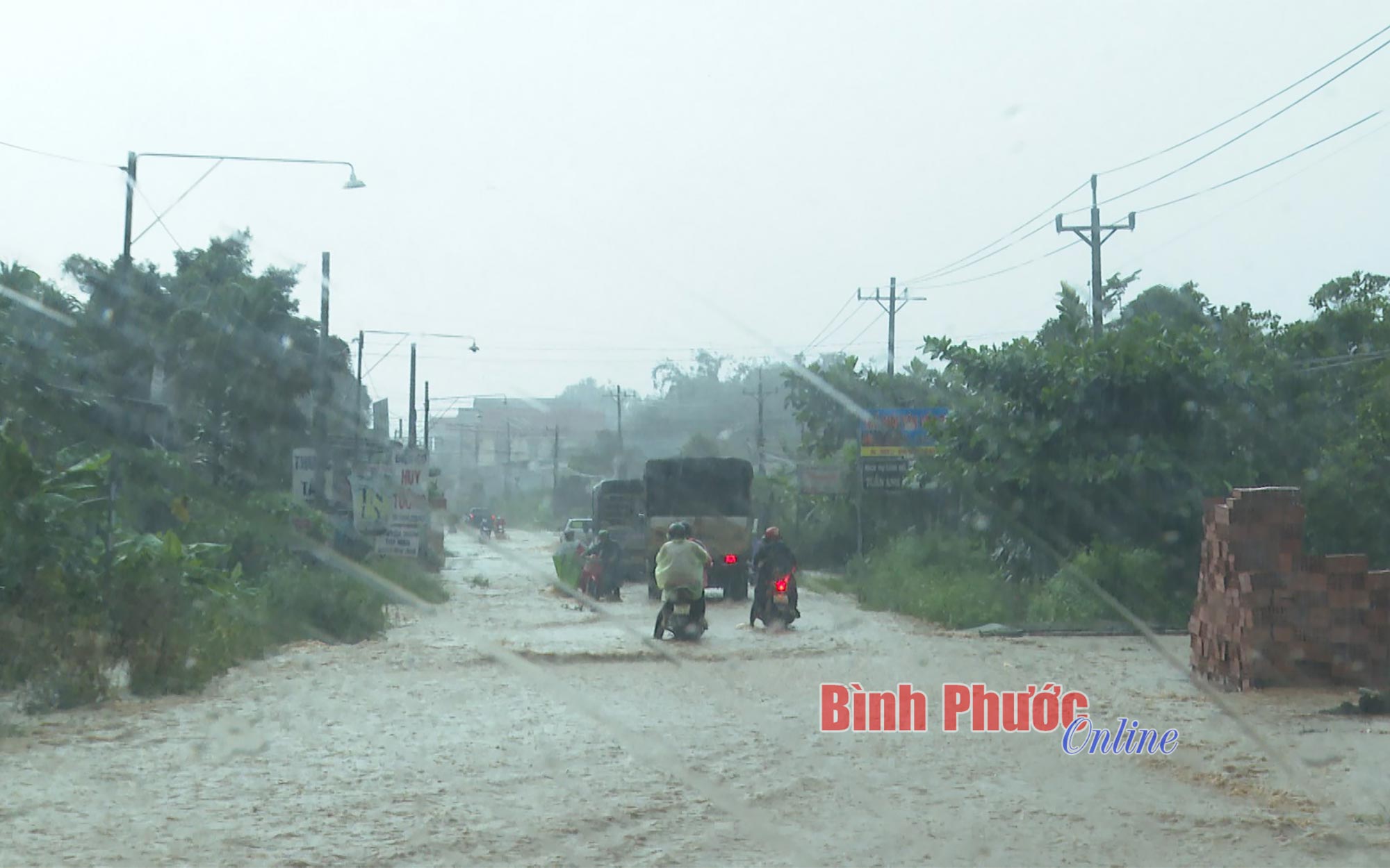 anh_4_11454825102023.jpg