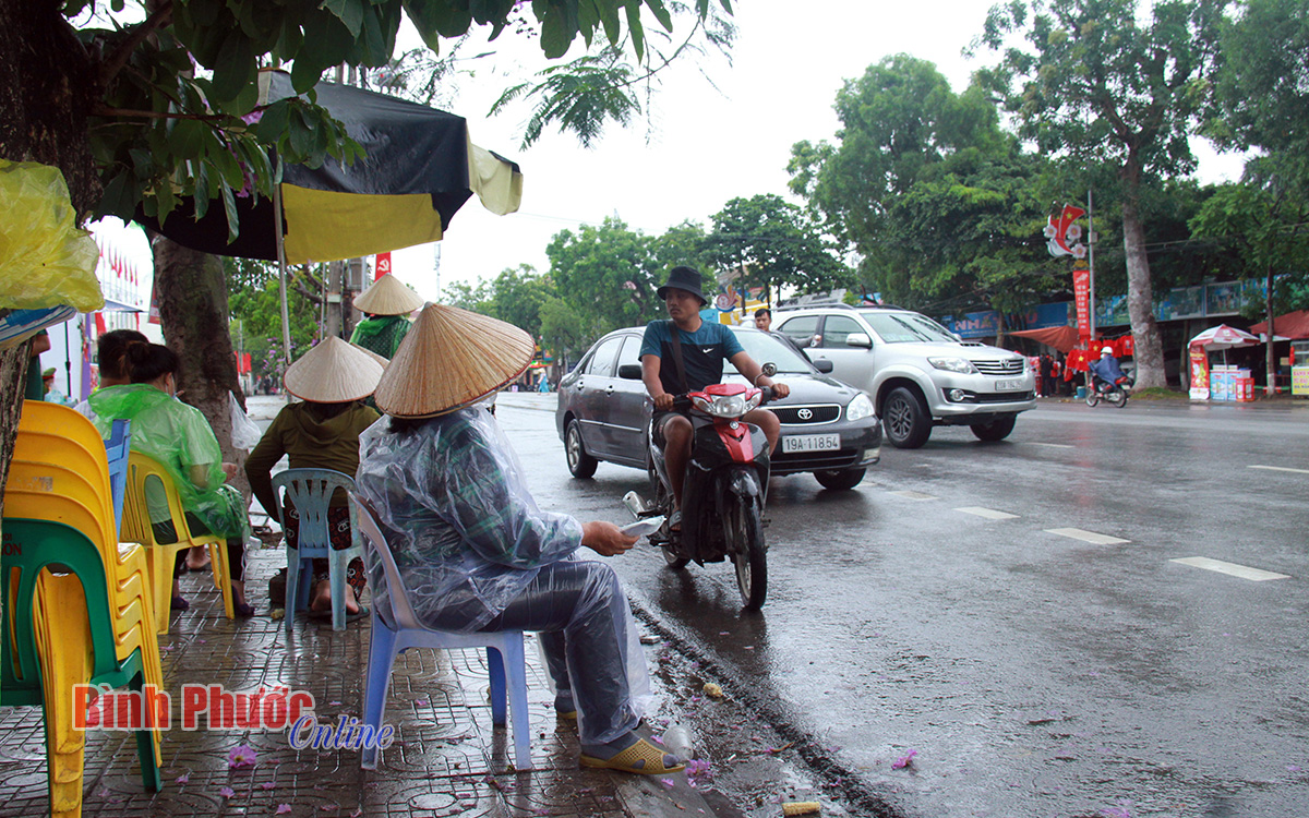 anh_6_18043615052022.jpg