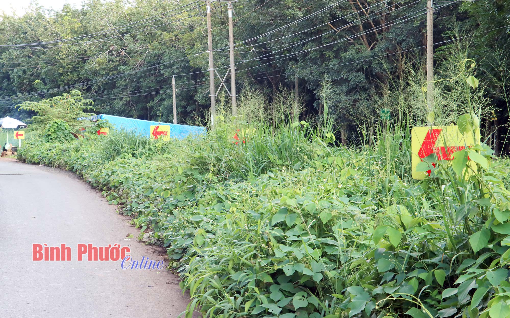 anh_8_12491111102023.jpg