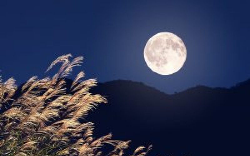 Ánh trăng yêu thương Ánh trăng yêu thương