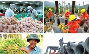 Hoàn thành 77% mục tiêu tái cơ cấu nền kinh tế đến năm 2020