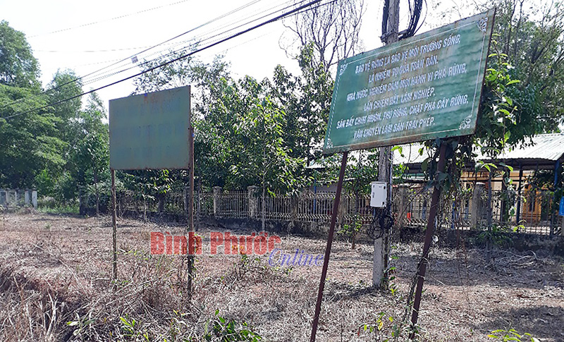 anhphebinh-103012019092629.jpg