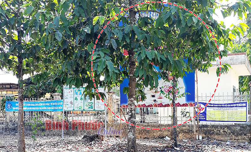 anhphebinh-203012019092636.jpg