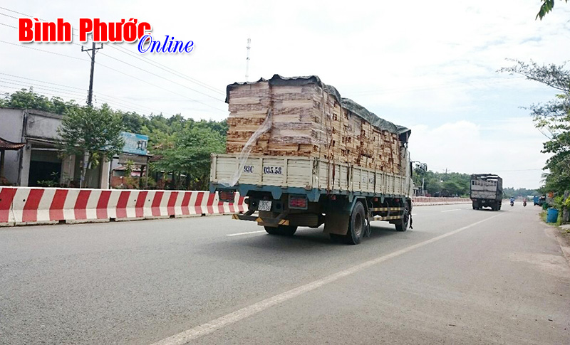 Ảnh phê bình: Nguy hiểm từ xe chở gỗ Ảnh phê bình: Nguy hiểm từ xe chở gỗ