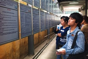 Hơn 20.000 cơ hội việc làm cho thanh niên, sinh viên