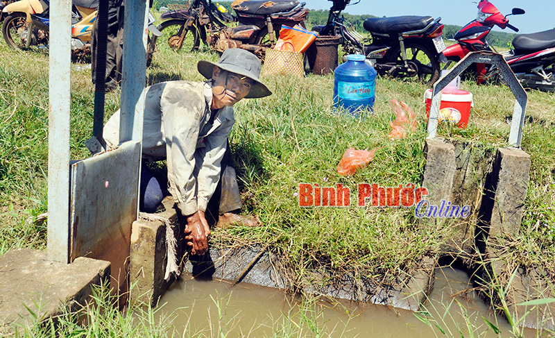 Nguy cơ mất mùa do hạn hán Nguy cơ mất mùa do hạn hán