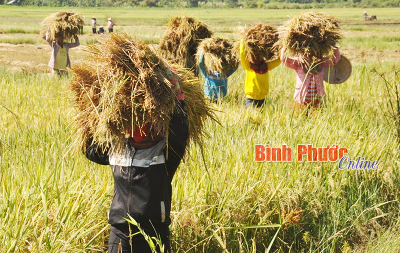 ankhuong2.jpg