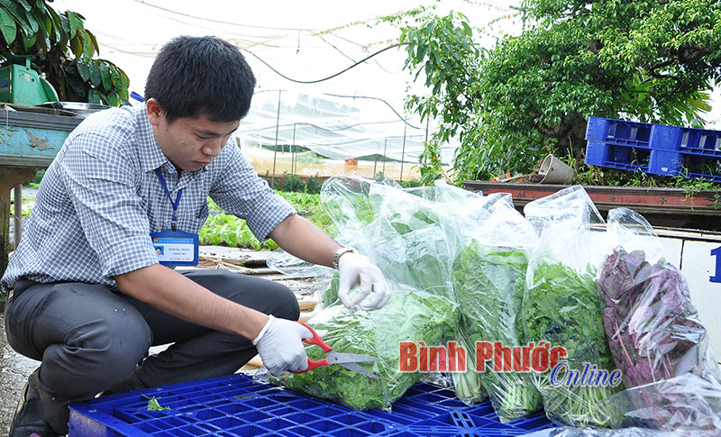 An toàn thực phẩm - trách nhiệm không của riêng ai An toàn thực phẩm - trách nhiệm không của riêng ai
