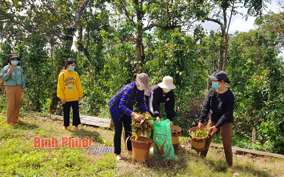 b3_23572621082021.jpg