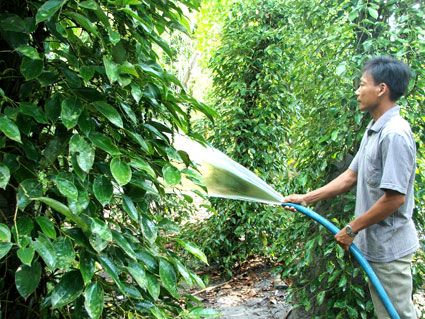 Những khó khăn khi thực hiện chuẩn nghèo mới ở Bình Phước Những khó khăn khi thực hiện chuẩn nghèo mới ở Bình Phước