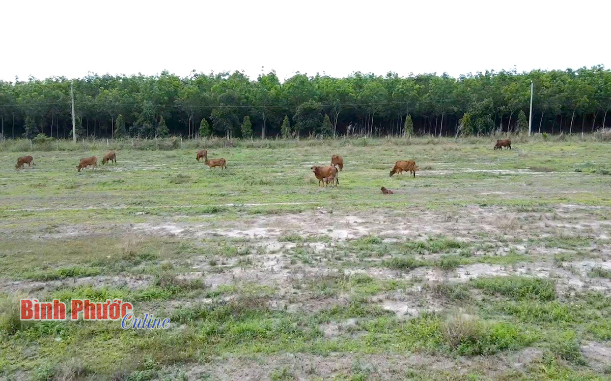 bai3_20103203082022.jpg