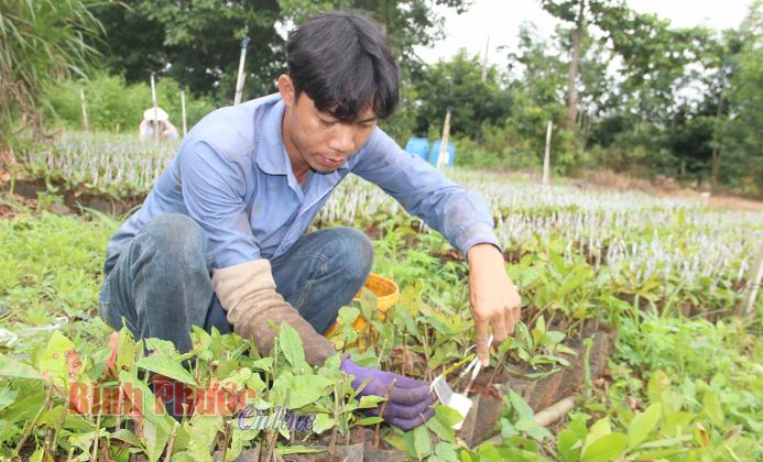 PN1 - Hướng tới phát triển bền vững PN1 - Hướng tới phát triển bền vững