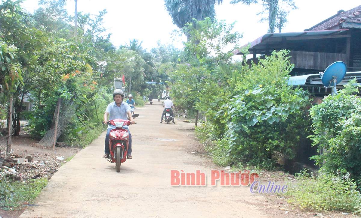 baidinh130092020094131.jpg
