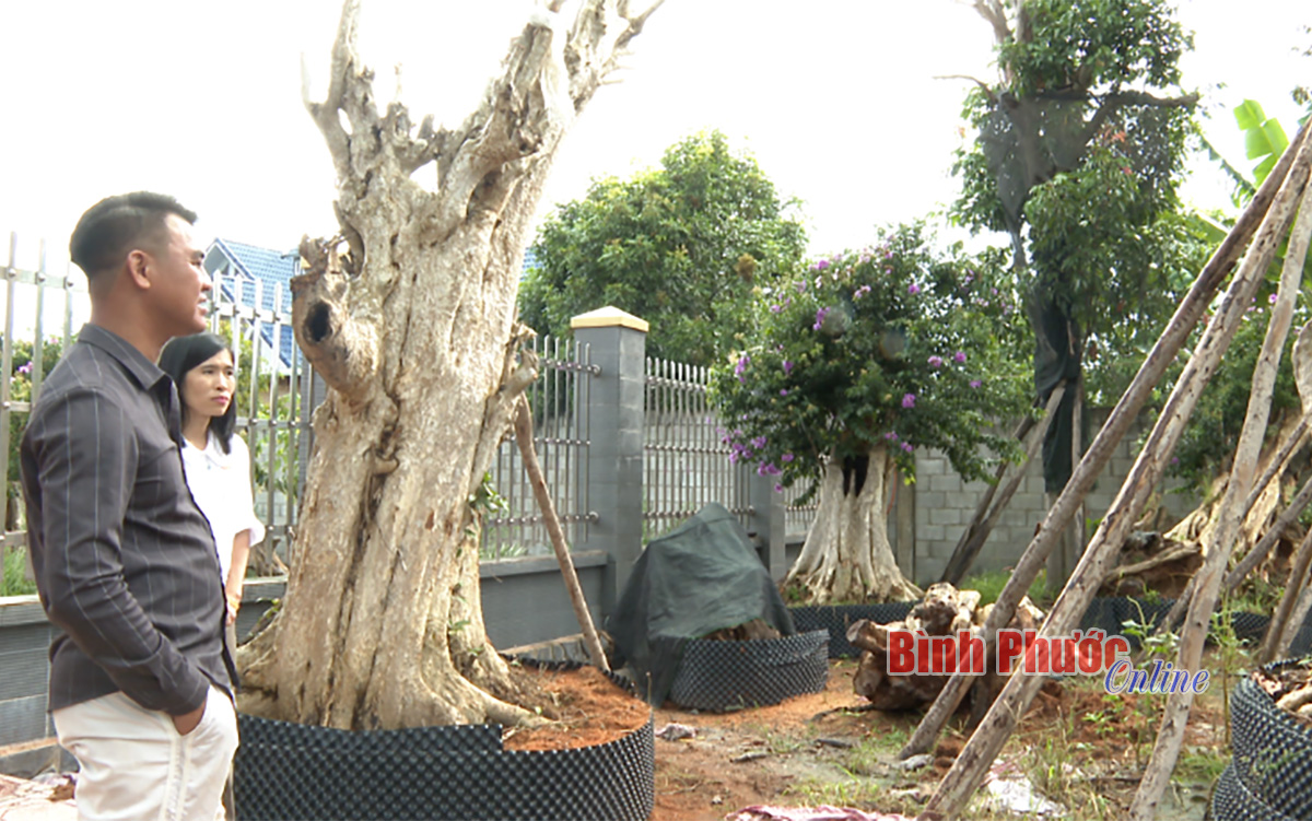 banglang1_20390813072022.jpg
