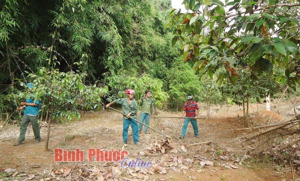 Tăng cường các biện pháp cấp bách về phòng cháy, chữa cháy rừng