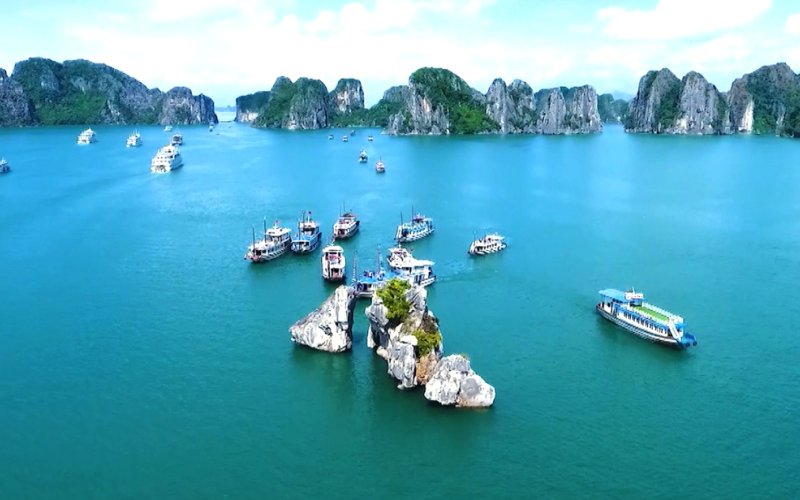 Bảo tồn hòn Trống Mái, Vịnh Hạ Long