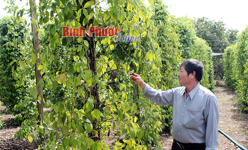 baodong.jpg