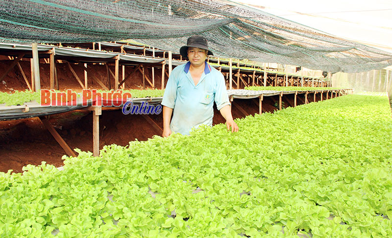 Bao giờ không còn nỗi lo từ bao tử tới nghĩa địa? Bao giờ không còn nỗi lo từ bao tử tới nghĩa địa?