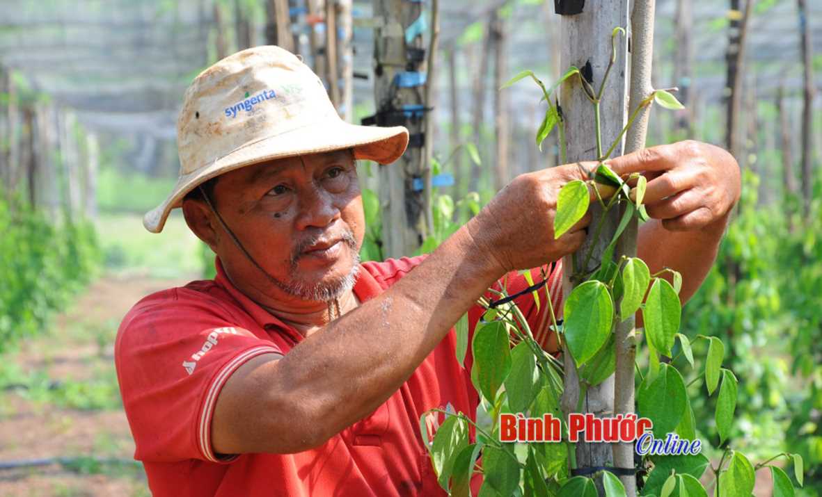 84 công trình kỷ niệm 45 năm Ngày giải phóng Lộc Ninh