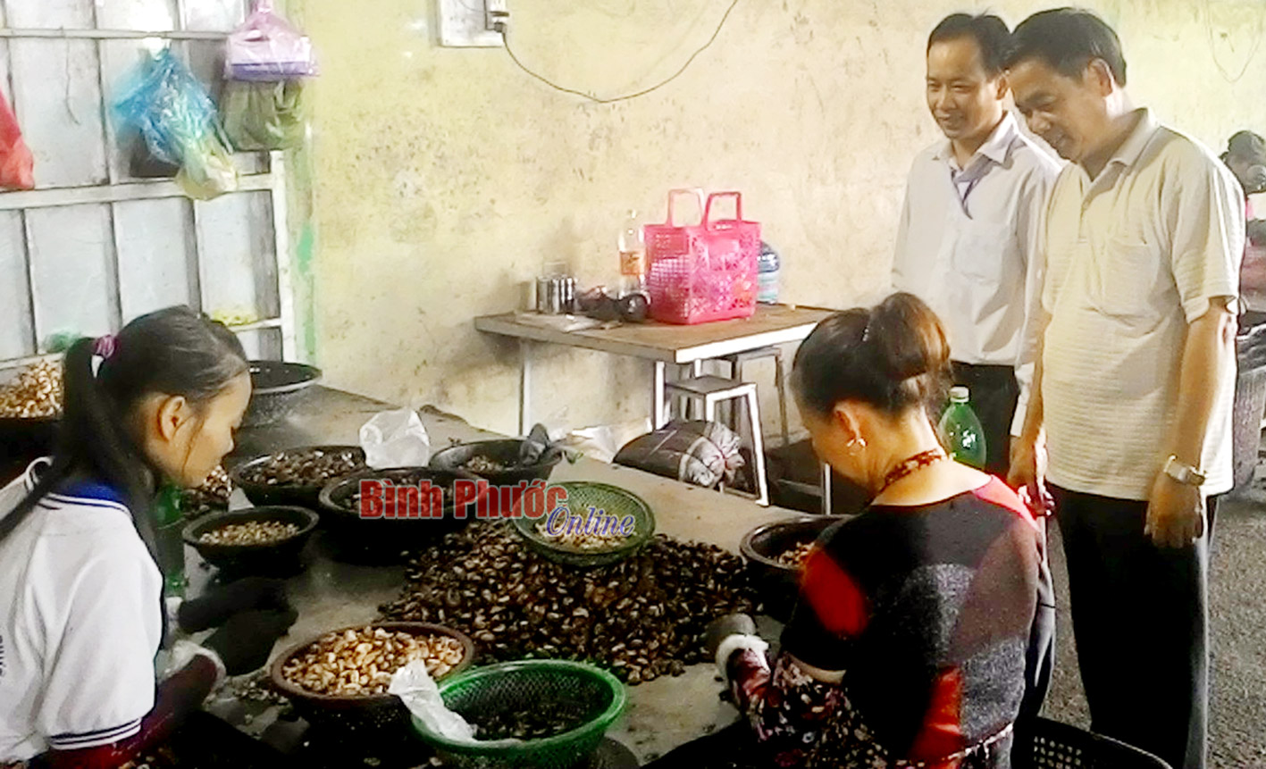 baoin141220161.jpg
