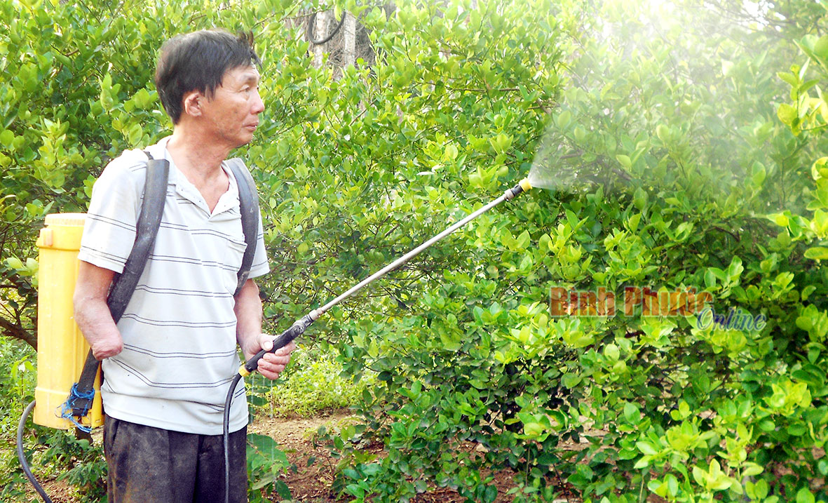 Nghị lực của một người khuyết tật