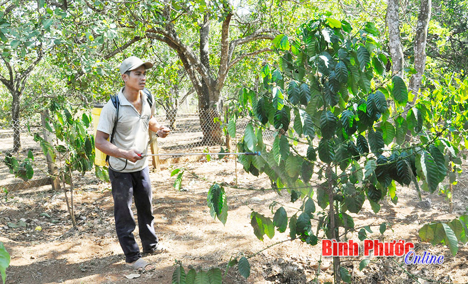 baoin15320164.jpg