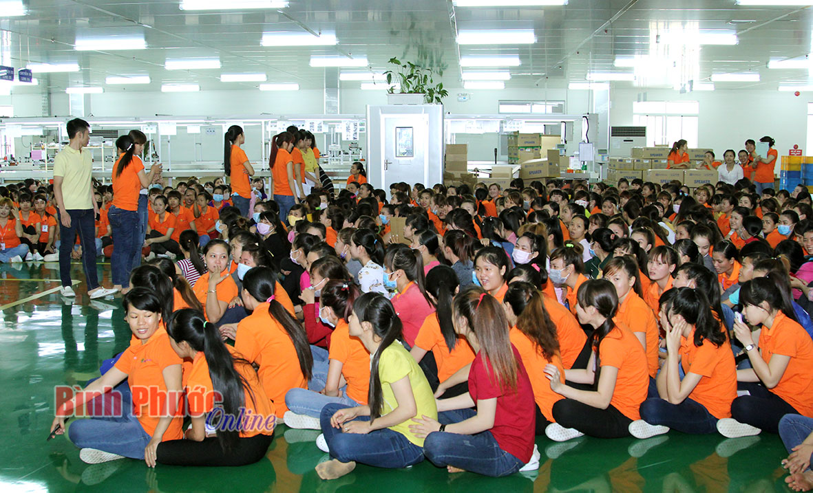 baoin17620165.jpg