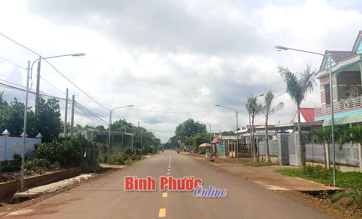 Nhân dân xã Tân Tiến góp sức thắp sáng đường quê