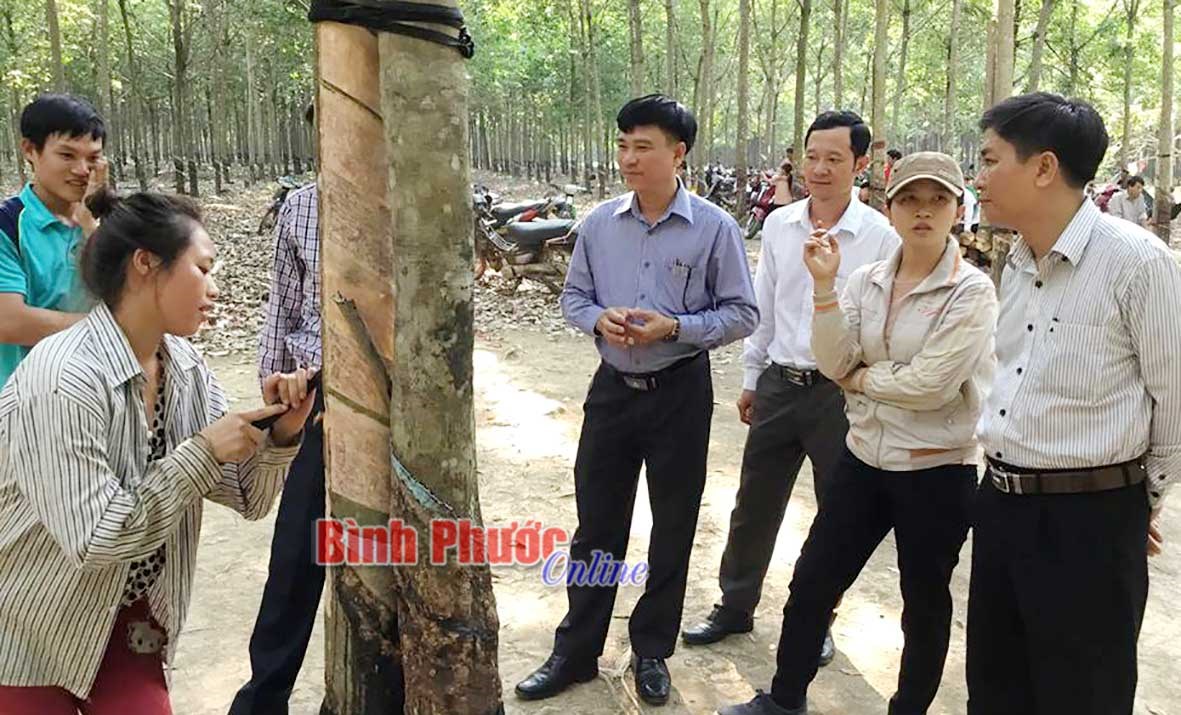 91% người lao động có việc làm thường xuyên