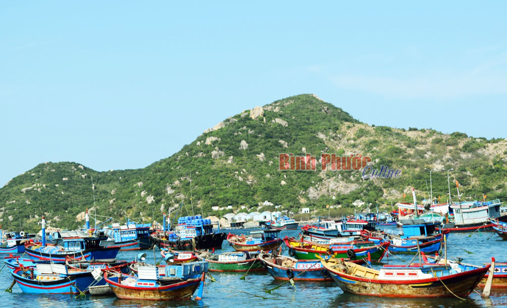 baoin2232016422032016023305.jpg