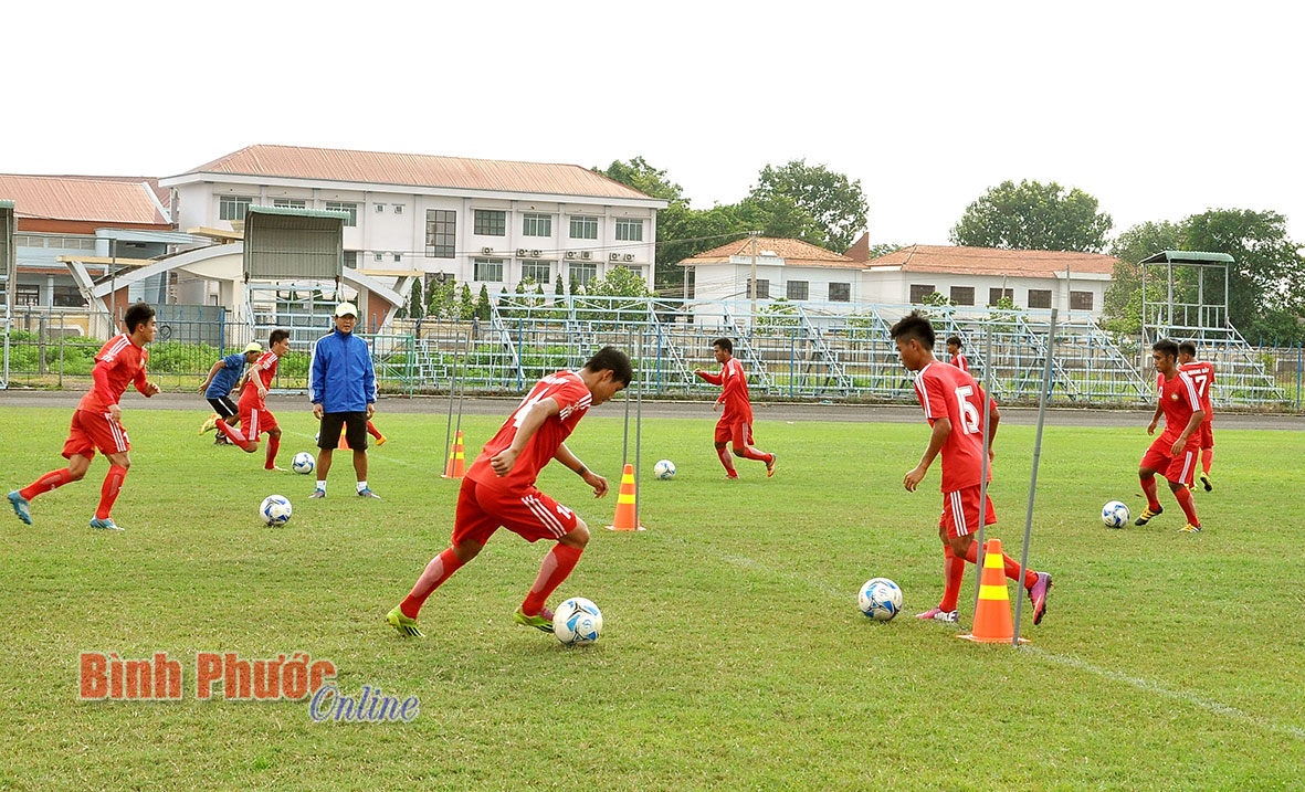 baoin22720166.jpg