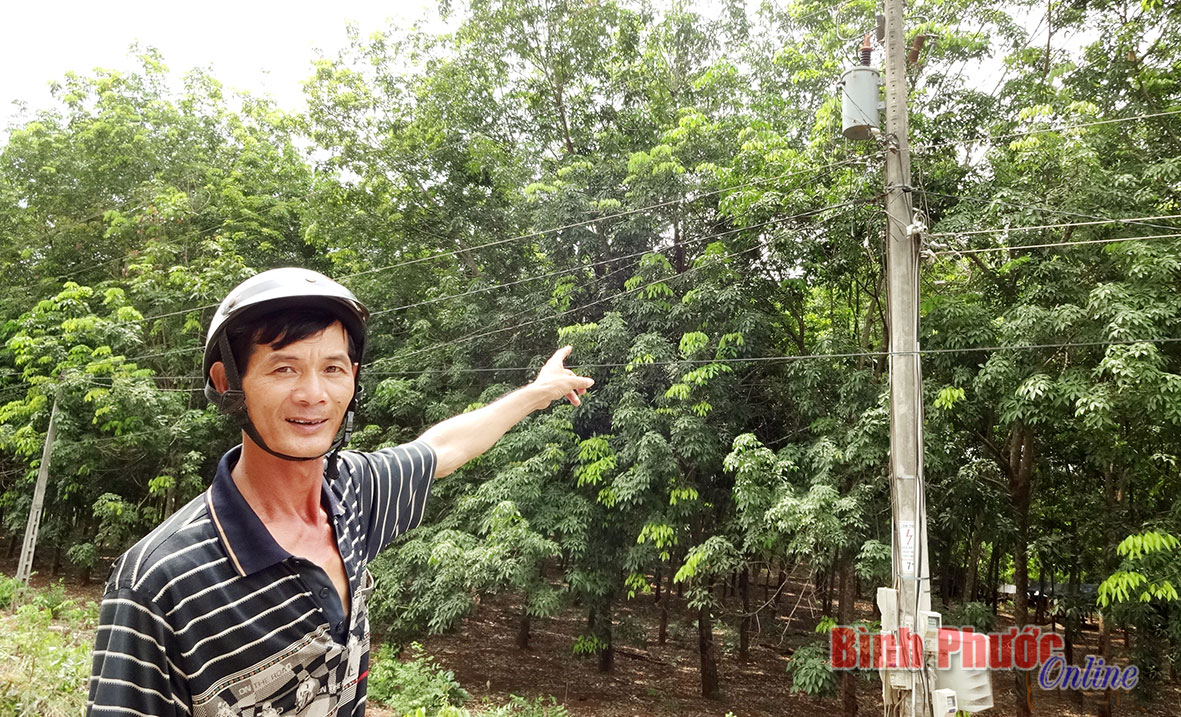 baoin23520162.jpg