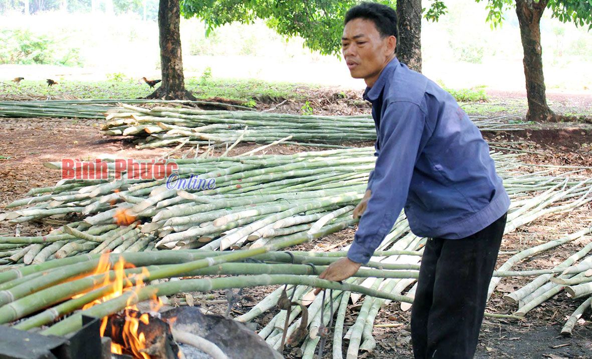 baoin24521610.jpg