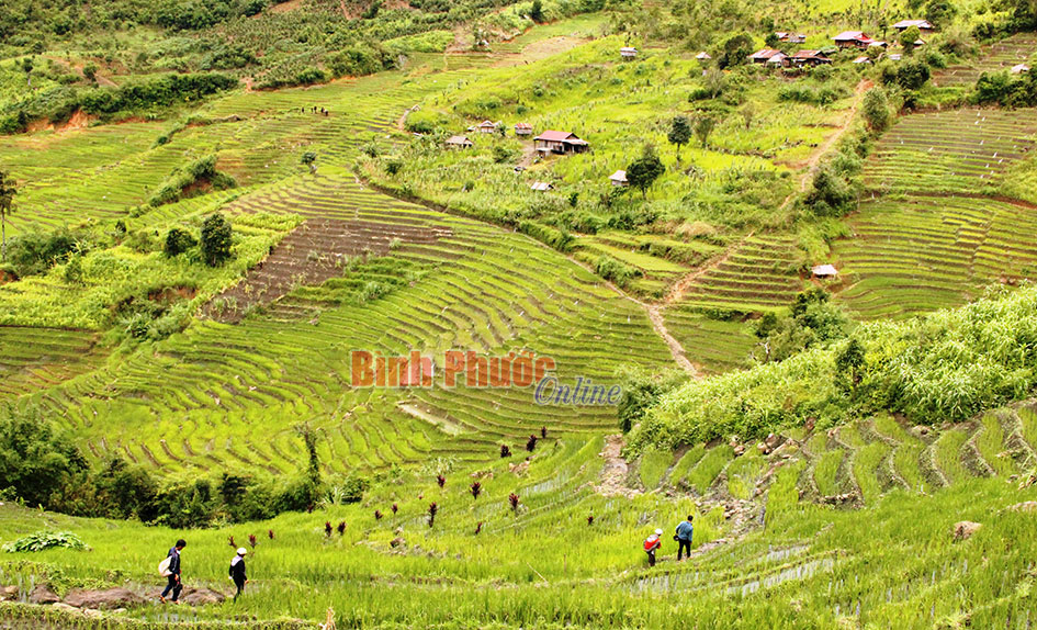 Vẻ đẹp Măng Ri Vẻ đẹp Măng Ri