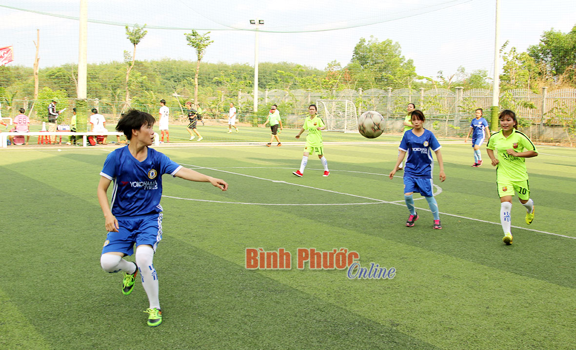 baoin25420164.jpg