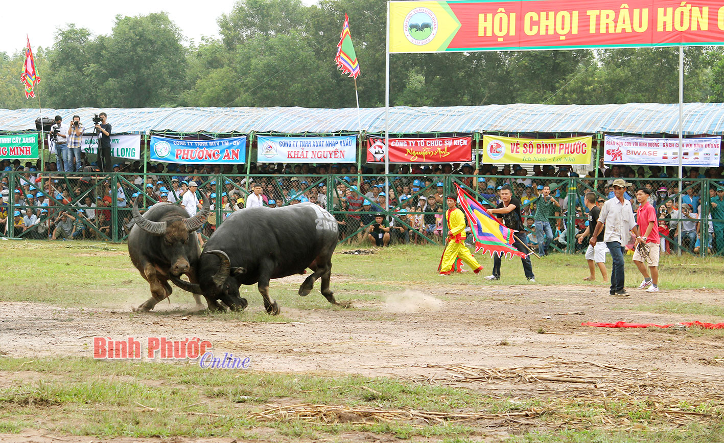baoin2820165.jpg